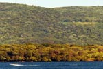 View of Point Knob from Lake George