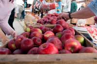 Apples From A Farmers Market
