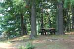 Black Mountain Picnic Sites 11 & 12