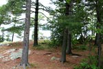 Perch Island Camping Lake George