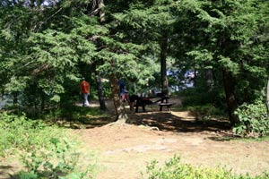 Uncas Island Camsite 3 - Lake George, Ny