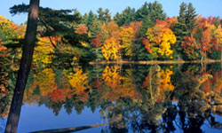 fall