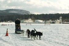 Lake George dog sled