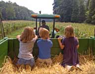 Children on a Hay Ride