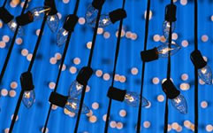 Holiday Lights