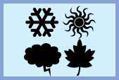 Local Weather