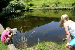 Pond at Up Yonda