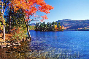 fall foliage image by carl heilman II