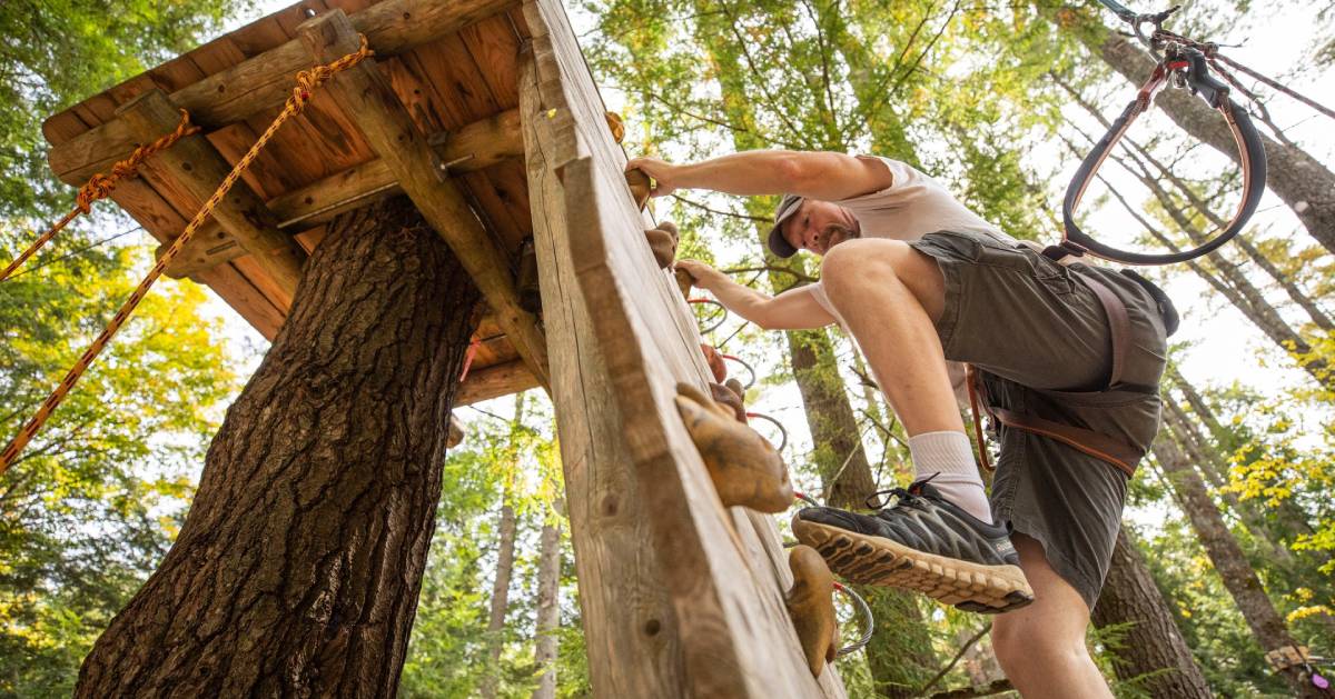 person climbing treetop course