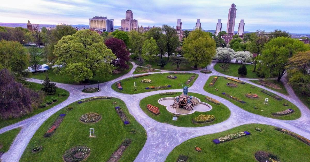 aerial view of park and Albany skyline