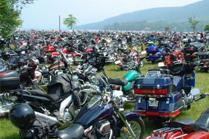 large group of motorcycles on a lawn