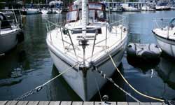 Boats Tied up on the Dock