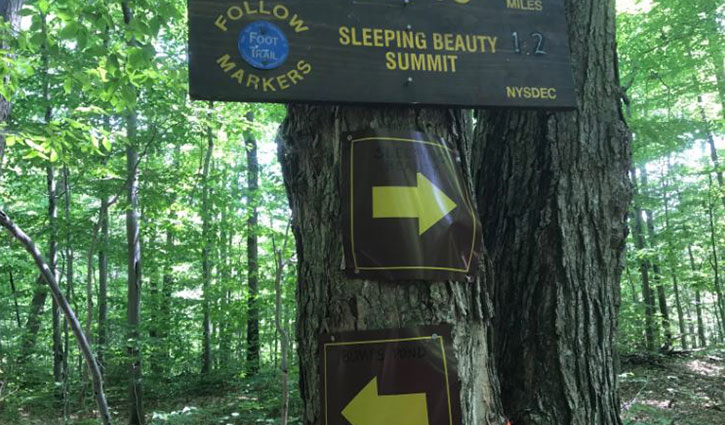 hiking signs on tree with arrows