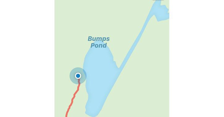 map screenshot of bump ponds