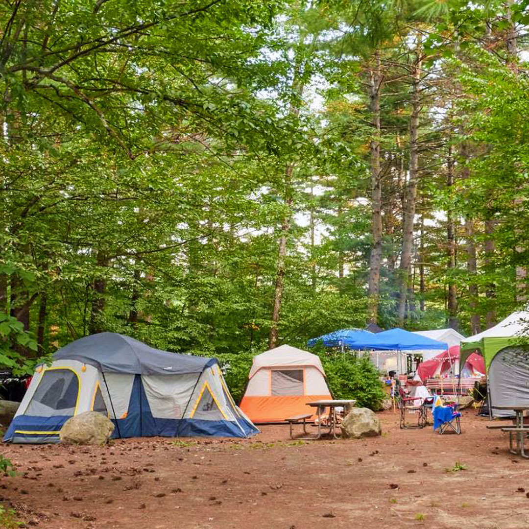Escape to Lewis Campground: Your Northern California Adventure Awaits!
