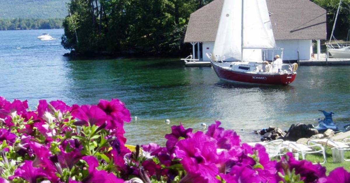 sailboat on a lake near the shore