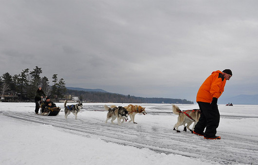 dogsled ride