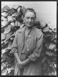 georgia o'keeffe portrait