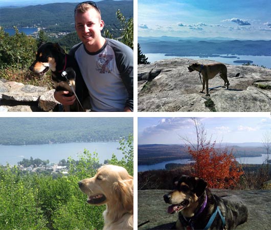 dogs hiking lake george