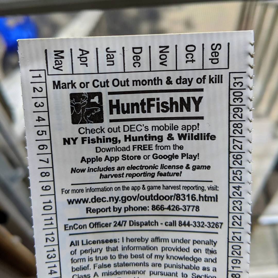 Which States Do Not Require a Fishing License 