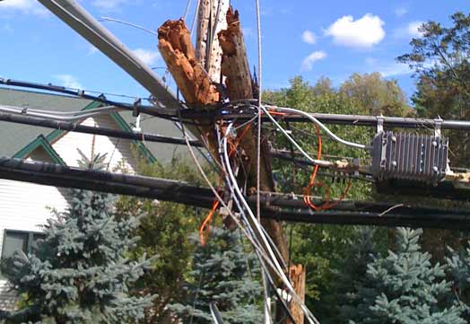 Tree down in wires across from the Boathouse