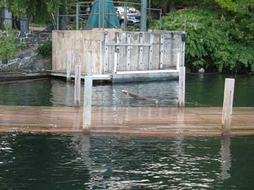 Dock Flooded