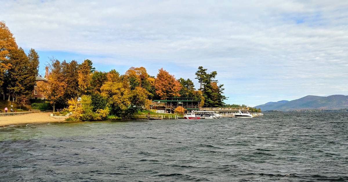 fall foliage in trees by lake