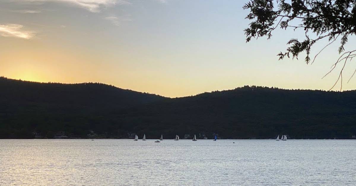 sailboats in the water