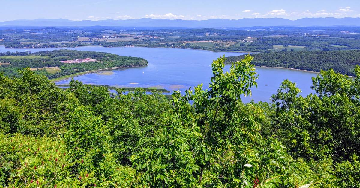 view of trees and water from a summit