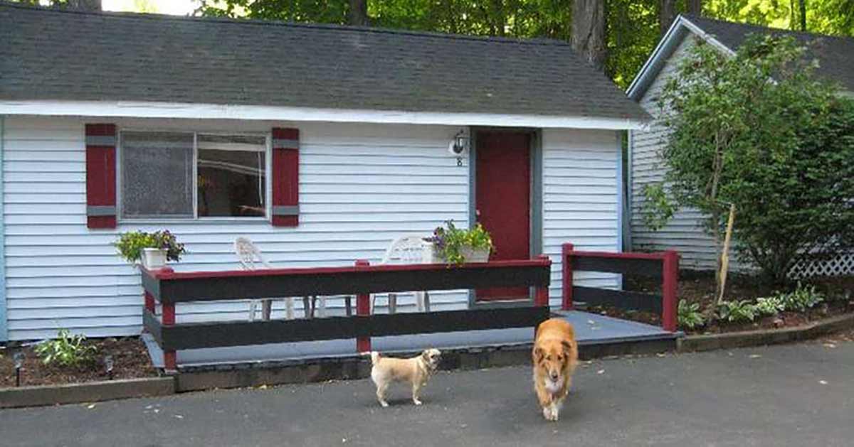 Pet-Friendly Cabins & Cottages in Lake George NY & Nearby