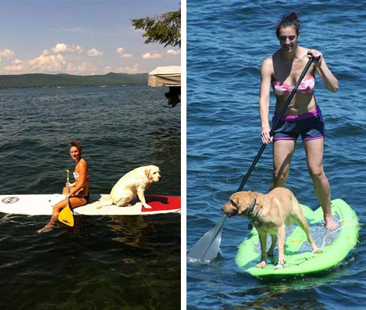 dogs paddleboarding lake george ny