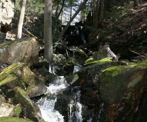 Enjoy Lake YearRound! Find Activities & Events For Every Month