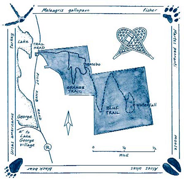 Lake Hiking Pilot Knob Preserve