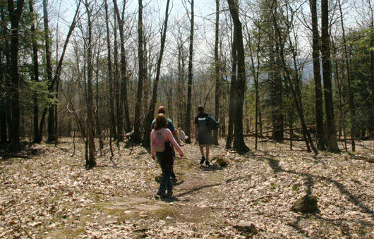 pilot knob trail