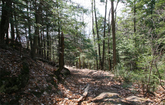 pilot knob trail