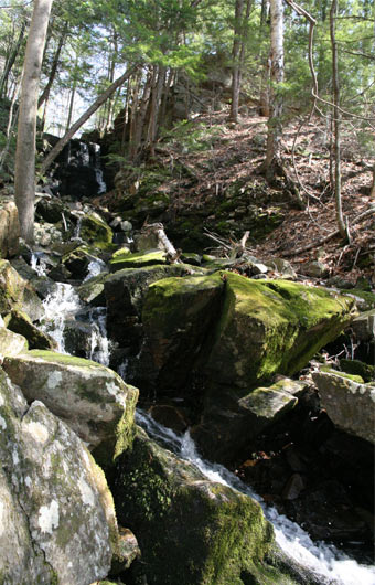 pilot knob falls