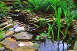 water feature in a yard