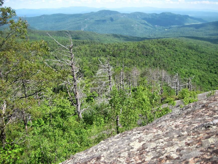 view from sleeping beauty mountain lake george ny