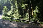 Shelving Rock Hike Trail - Lake George, NY