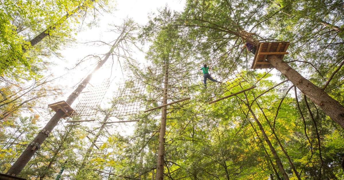 person high in the treetops on adventure course