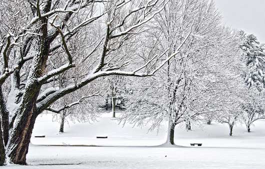 winter in lake george