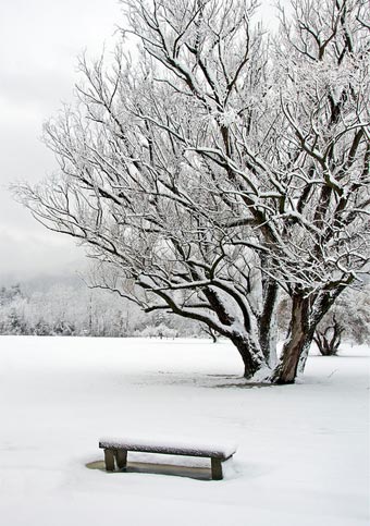 lake george winter