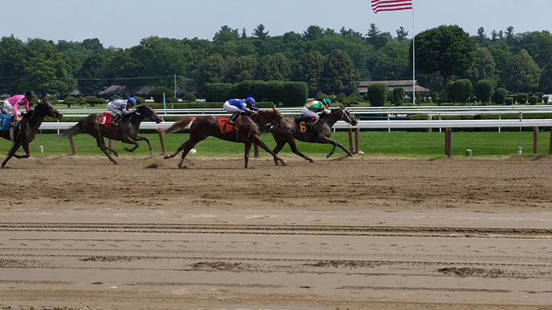 Thoroghbred Horses on the Saratoga Race Track